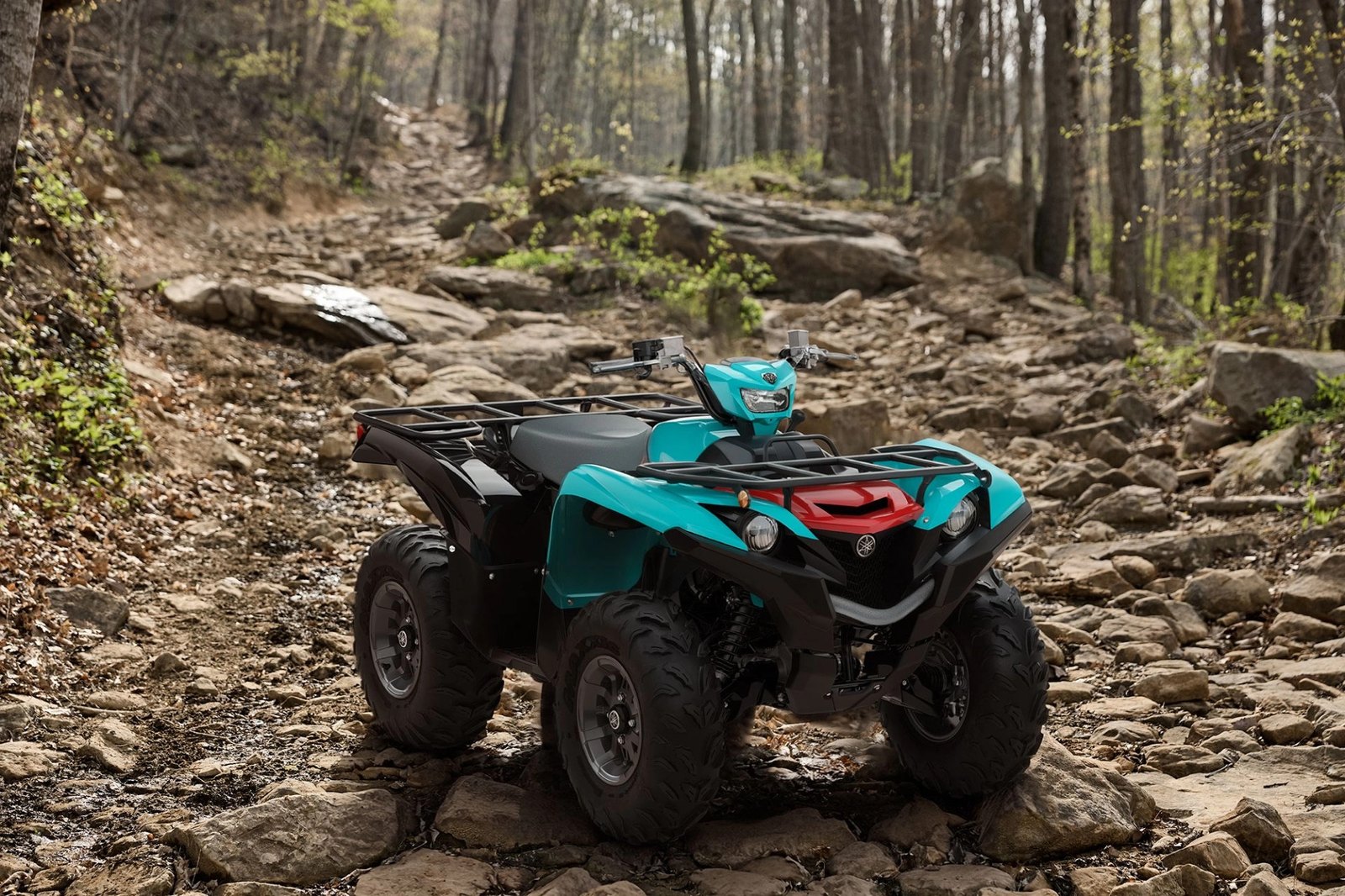 Yamaha Grizzly 700